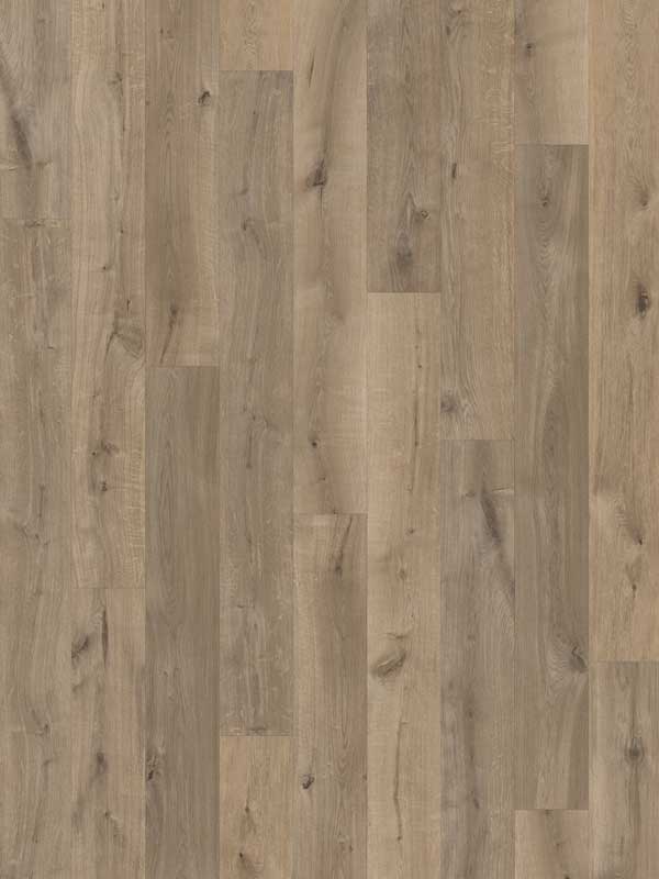 Giant Oak Vinyl Flooring – GOVF649M Giant Oak Vinyl Flooring – GOVF649M