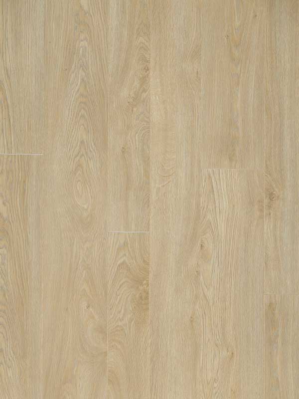 Glorious – Jazz XXL Natural B1007 Glorious – Jazz XXL Natural B1007