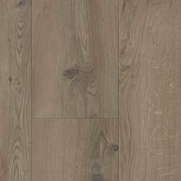 Glorious – Gyant XL Dark-Brown B1113