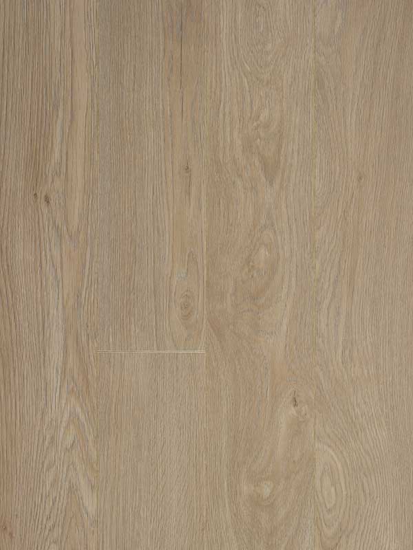 Glorious Small – Jazz XXL Natural_B1007 Glorious Small – Jazz XXL Natural_B1007