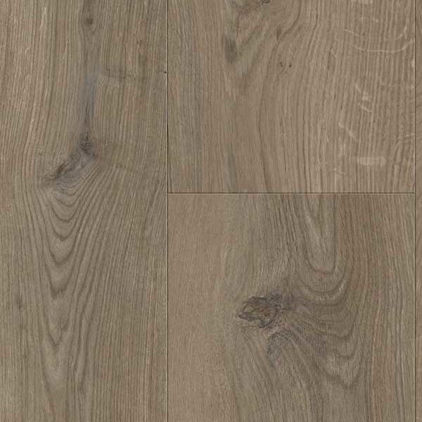 Glorious XL – Gyant XL Dark Brown_B1113