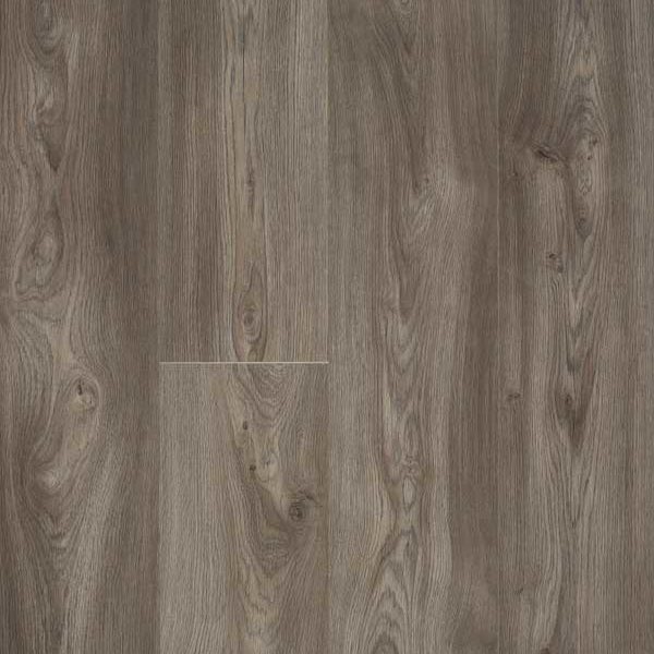 Glorious XL – Jazz XXL Brown_B1011