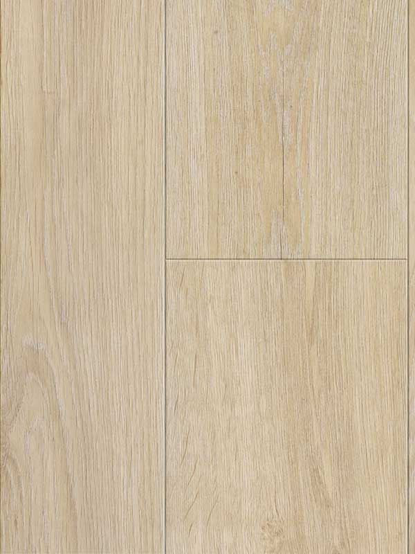 Glorious XL – Jazz XXL Light Natural_B1005 Glorious XL – Jazz XXL Light Natural_B1005