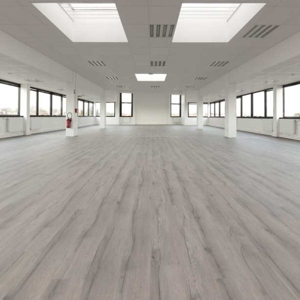 Original_1730-4331-Winter Oak Miroirs-de-Lille – 2014