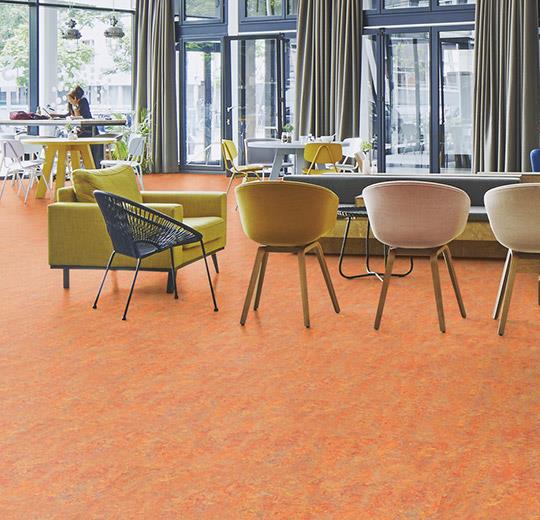 Marmoleum Vivace – Asian Tiger