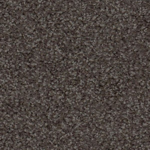 Radiance 41/-